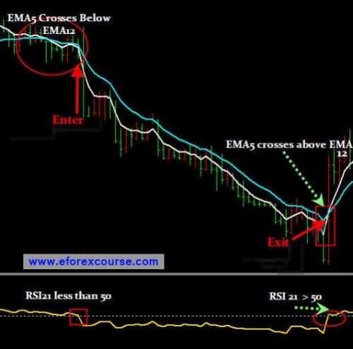 making 20 pips a day in forex